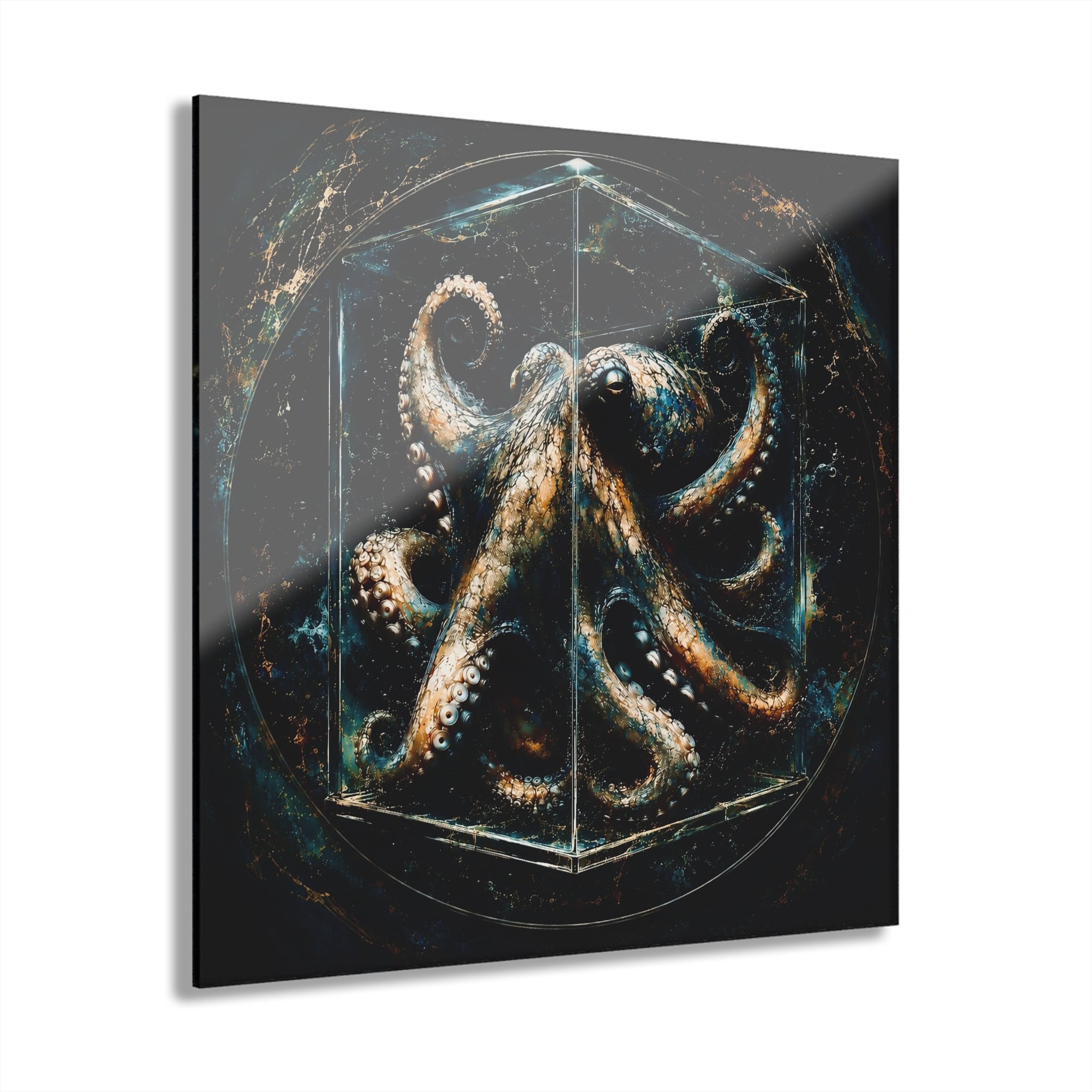 Octopus | Contained Collection