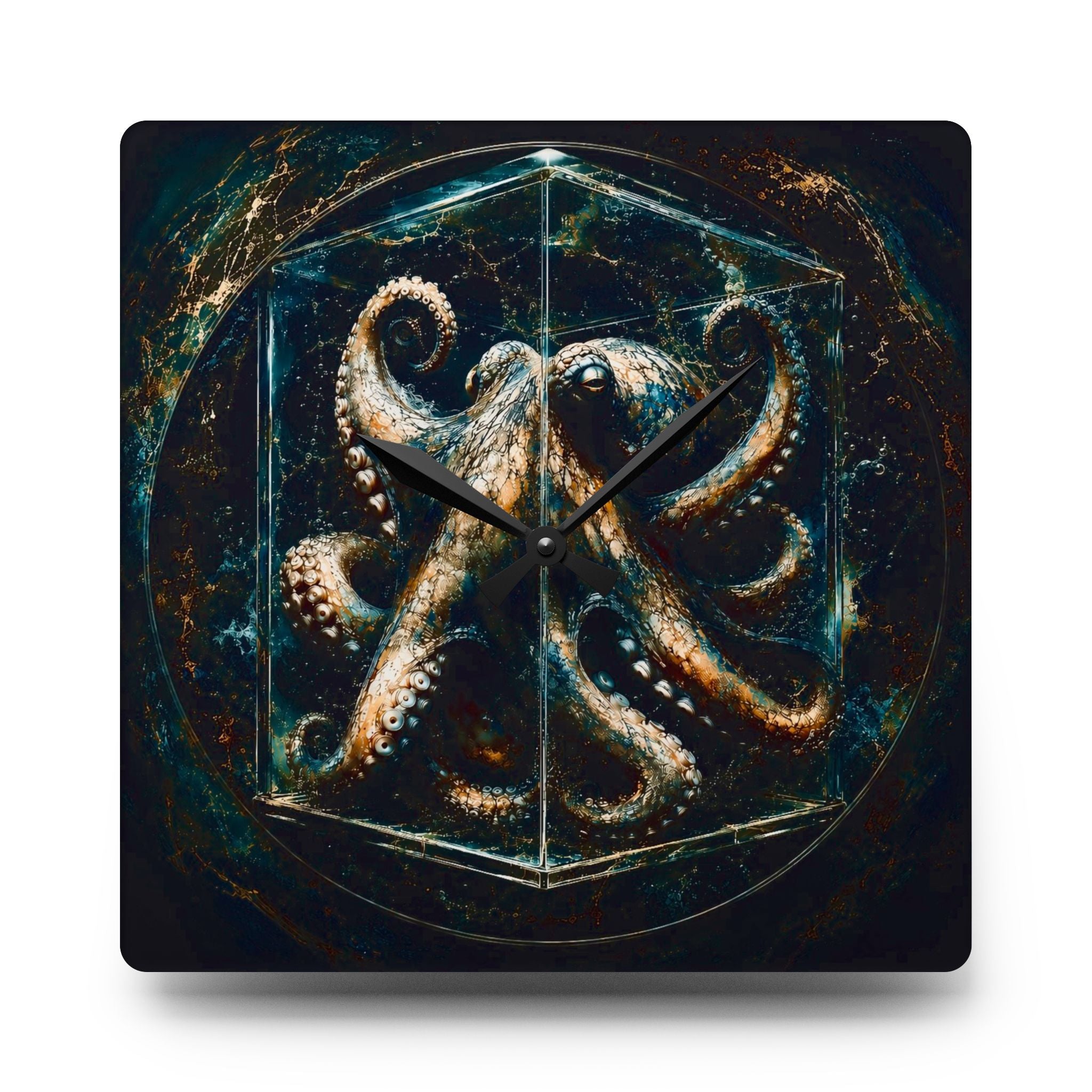Octopus | Contained Collection